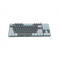 ΠΛΗΚΤΡΟΛΟΓΙΟ AULA F3287 ΜΗΧΑΝΙΚΟ ΓΚΡΙ-ΛΕΥΚΟ USB US-GR